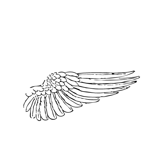 logo bez fioletu skrzydla